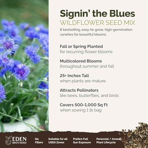 Eden Brothers Singin the Blues Wildflower Mixed Seeds for Planting, 1 lb, 480,000+ Seeds with Blue Flax, Lupine, Chicory | Attracts Pollinators, Plant in Spring or Fall, Zones 3, 4, 5, 6, 7, 8, 9, 10 - Image 2
