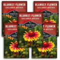 Blanket Flower Seeds for Planting - Survival Garden Seeds (5 Packs) by SurvivalGardenSeeds