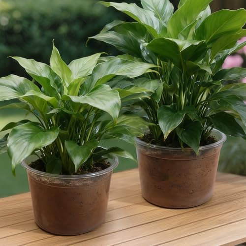 8" Clear Nursery Pots With Drainage Holes, 10 Packs Plastic Pots For Plants - Image 7