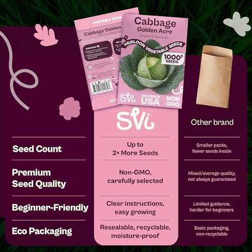 SVI 1000 Golden Acre Cabbage Seeds (Brassica Oleracea) - Green Cabbage, Fast-Growing Heirloom Seed, Non GMO - Great Vegetable Seeds in Seed Packets for Outdoors, Vegetable Garden Beds - Image 6
