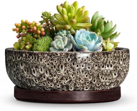 Succulent Pots 6 Inch, Ceramic Bonsai Pots with Tray, White Leopard by Wliror