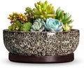 Succulent Pots 6 Inch, Ceramic Bonsai Pots with Tray, White Leopard by Wliror