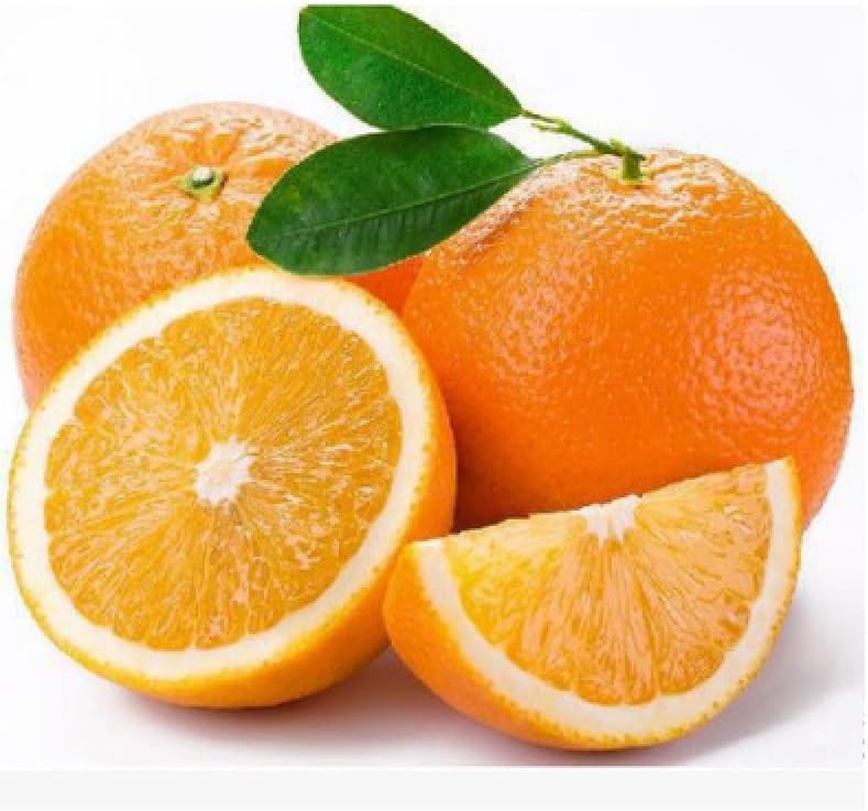 30+ Bonsai Orange Tree Seeds Dwarf Heirloom Bearing Bonsai Tree Fruit Garden - Image 2