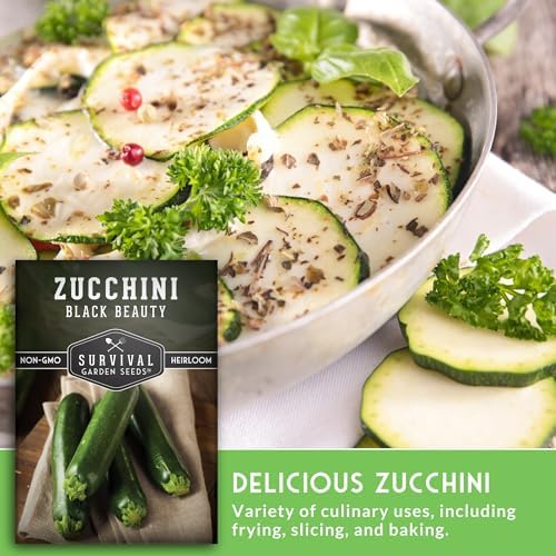 Black Beauty Zucchini Seeds for Planting - 3 Packs - Image 4