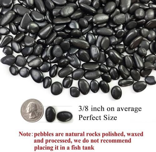 FANTIAN 5 lbs Pebbles for Indoor Plants. 3/8 inch Small Black Stones, Decorative Black River Rocks for Plant Outdoor, Vase, Landscaping and Garden - Image 2
