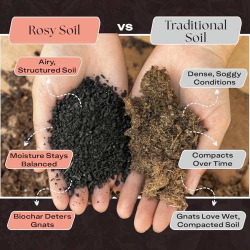 Rosy Soil Cactus & Succulent Potting Mix, 4 Quarts, Pack of 2 - Image 3