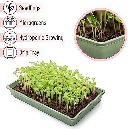 Mr. Pen- Seed Starter Trays, 5 Pack, 17"x10"x2.4" - Image 4