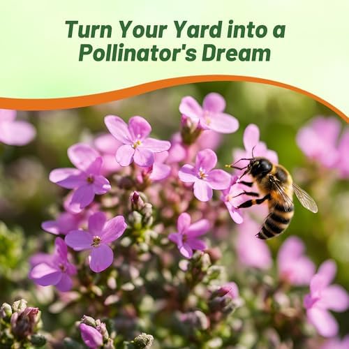 Outsidepride Magic Carpet Creeping Thyme Seeds - 500 Pcs. Perennial, Fragrant, & Drought Tolerant Ground Cover Seeds for Planting Pink Flowers in Pathways, Slopes & Pollinator-Friendly Landscaping - Image 5