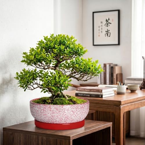 Succulent Pots 13 Inch, Ceramic Bonsai Tree Pots, Texture Red - Image 4