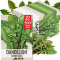 Seed Needs Garnet Stem Dandelion Seeds to Plant an Herb Garden - 20 Packs by SeedNeeds