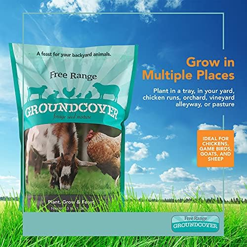 Barenbrug Free Range GroundCover Forage Seed Mixture - Ideal for Chickens, Game Birds, Goats, and Sheep - 3 lb Bag, Blue - Image 2