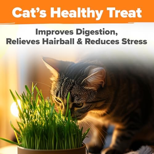 HOME GROWN Organic Cat Grass Seed Mix Oat & Barley 4 oz Easy Indoor Planter - Image 5
