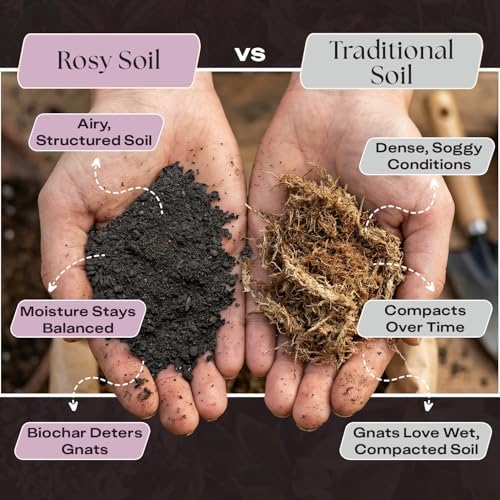 Rosy Soil Seedling Seed Starter Soil Mix, Organic, Peat-Free, 4 Quarts - Image 3