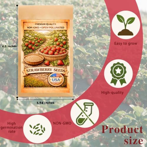 Strawberry Seeds for Planting Outdoor, Heirloom Seed, High Germination, Red - Image 7
