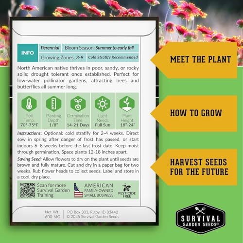 Blanket Flower Seeds for Planting - Survival Garden Seeds (5 Packs) - Image 2