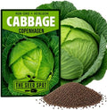 6000+ Green Cabbage Seeds for Planting - Heirloom Non-GMO by Unknown