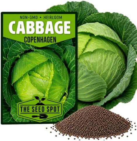 6000+ Green Cabbage Seeds for Planting - Heirloom Non-GMO by Unknown