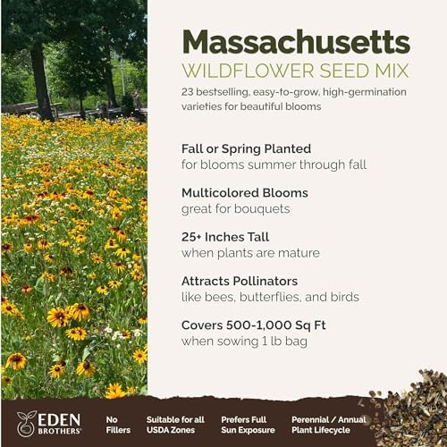 Eden Brothers Massachusetts Wildflower Mixed Seeds for Planting, 1 lb - Image 2