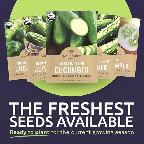 Organic Cucumber Seeds Variety Pack - 5 Individual Packs - 2026 Season - Marketmore 76, Sweet Burpless, Boston Pickling and More! for Indoor & Outdoor Planting (Non-GMO, Certified Organic) - Image 3