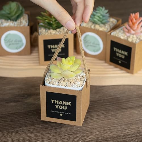 Temlum 2.5 Inch Succulent Wrap Bags (Fits 2.5″ Pots) with Thank You & Let Love Grow Stickers, Small Gift Box for Wedding, Baby Shower, Succulent Party Favors for Guests (Brown 40pcs) - Image 5