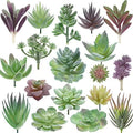 Artificial Succulent Plants - 18 Pack - Premium Fake Plants - Double Flocked Succulents - Realistic Textured Cactus - Face Succulent Plants - Mini Faux Succulents - Face Plant Decor by Miltonson