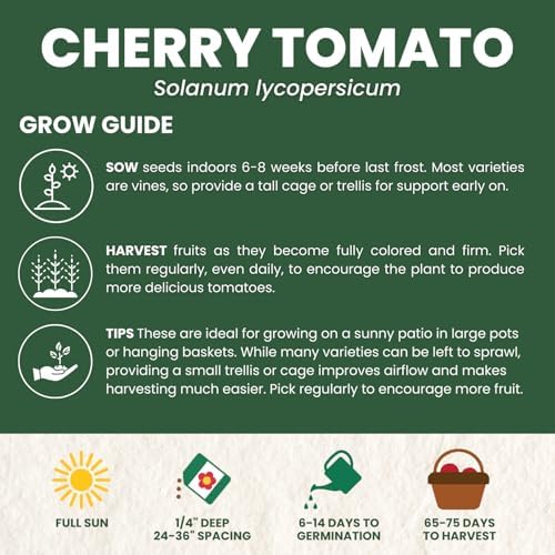 Cherry Tomato – 200 Premium Seeds for Planting – Sweet, Prolific, High-Yielding Heirloom for the 2026 Season – 600-Milligram Pouch - Image 4