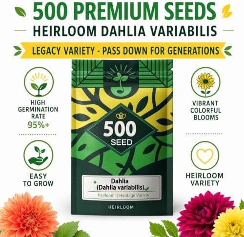 Dahlia Seeds for Planting, Garden Seeds 500ct, Vibrant Mixed Colors Flower - Image 2