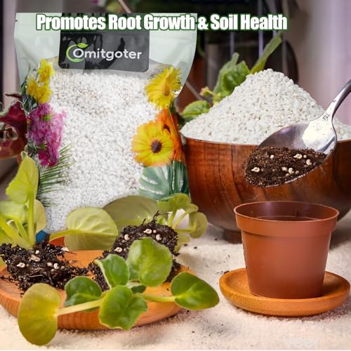Horticultural Perlite for Plants 1qt, All Natural Horticultural Soil Additive Conditioner Mix, Improve Ventilation and Drainage, Enhance Soil Health and Root Growth - Image 3