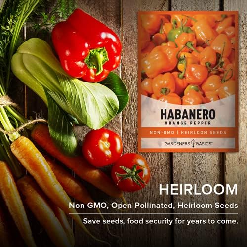 Gardeners Basics, Orange Habanero Pepper Seeds for Planting Heirloom Non-GMO Hot Habanero Peppers Plant Seeds for Home Garden Vegetables Makes a Great Gift for Gardeners - Image 6