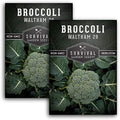 Waltham 29 Broccoli Seeds for Planting – Survival Garden Seeds (2 Packs) by SurvivalGardenSeeds