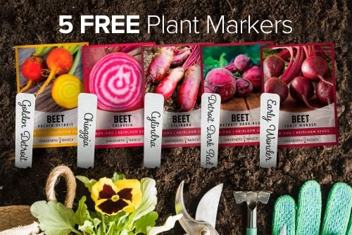 Gardeners Basics, Beet Seeds for Planting Home Garden - 5 Variety Pack Detroit Dark Red, Golden Detroit, Early Wonder, Cylindria and Chioggia Great for Spring, Summer, Fall, Heirloom Veggie Seeds - Image 3