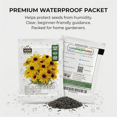 5000 Black Eyed Susan Flower Seeds for Planting - Rudbeckia hirta Native Wildflower, Pollinator Garden, Heirloom, Non-GMO, USA Grown by RDR Seeds - Image 7