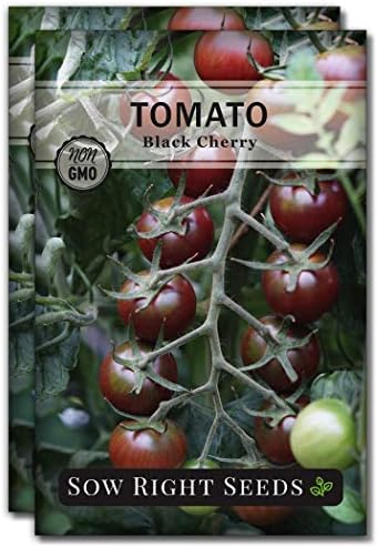 Sow Right Seeds - Black Cherry Tomato Seed for Planting Garden Tomatoes 2pk by SowRightSeeds
