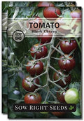 Sow Right Seeds - Black Cherry Tomato Seed for Planting Garden Tomatoes 2pk by SowRightSeeds