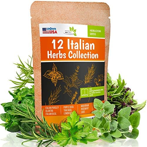 12 Italian Herb Seeds Pack - Heirloom and Non GMO, Grown in USA - Indoor or Outdoor Garden - Four Basil Varieties and Parsley, Cilantro, Rosemary, Thyme, Oregano, Marjoram, Sage, Arugula by MadayFormula