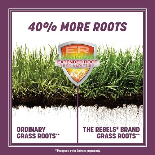 Pennington The Rebels Shady Lawn Mix, Tall Fescue Grass Seed, 7 lb - Image 4