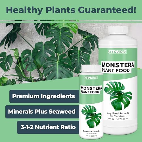 Monstera Plant Food - Liquid Fertilizer for Bigger, Healthier Leaves, 32 oz - Image 2