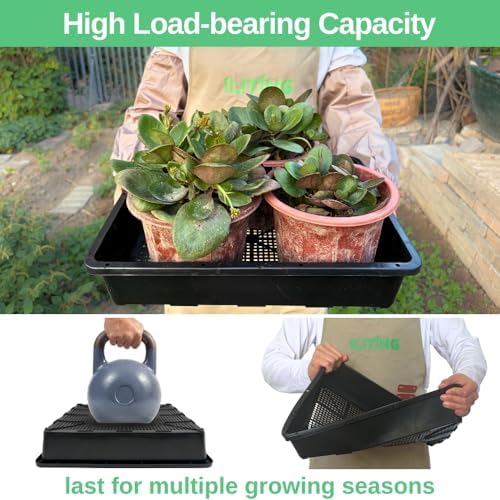 Soil Blocking Trays 15x12inch Mesh Tray 10 Pack Seed Starter Tray Mesh Bottom Trays for Soil Blocks, Seedling, Microgreen, Wheatgrass - Image 3