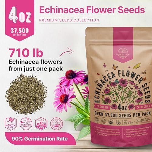 Organo Republic Echinacea Seeds Pack 4 oz - Over 37,500 Non-GMO Heirloom Echinacea Seeds for Planting, Perennial Flowers in Individual Packet, Coneflower for Planting Indoor & Outdoors - Image 3