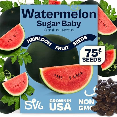 SVI 75 Sugar Baby Watermelon Seeds for Planting (Citrullus lanatus) – Sweet Watermelon, Heirloom Mini Watermelons – Fruit Seeds to Plant in Outdoor Garden & Large Containers by SVI