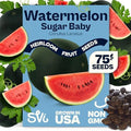SVI 75 Sugar Baby Watermelon Seeds for Planting (Citrullus lanatus) – Sweet Watermelon, Heirloom Mini Watermelons – Fruit Seeds to Plant in Outdoor Garden & Large Containers by SVI