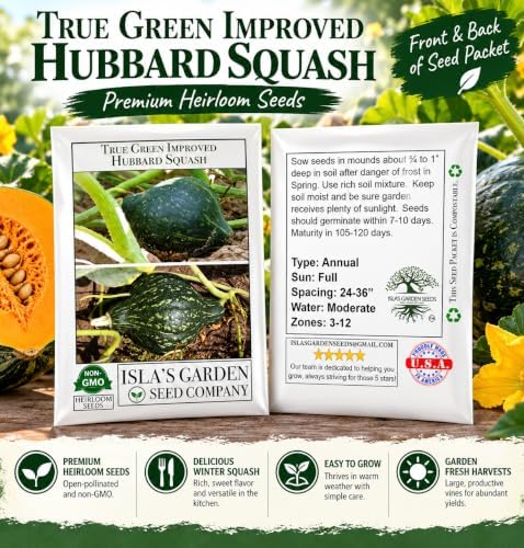 True Green Improved Hubbard Squash Seeds (Cucurbita Maxima) – 25 Heirloom Non-GMO Seeds by Isla’s Garden Seeds, Ideal for Planting, Excellent for Home Gardens, Perfect Gardening Gift - Image 7