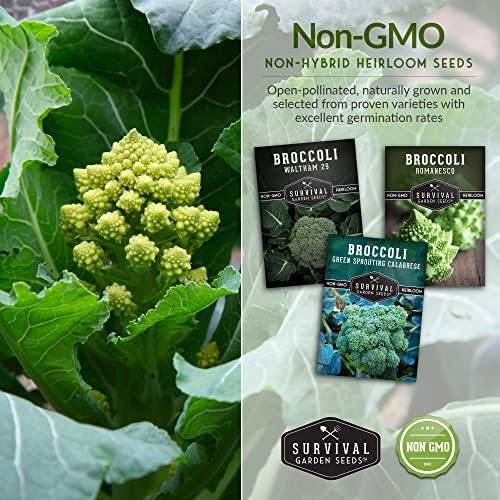Broccoli Seeds for Planting – 3 Varieties - Survival Garden Seeds - Image 5
