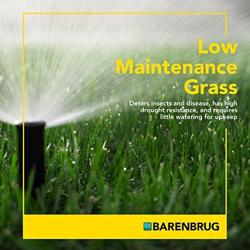 Barenbrug Wonderlawn Sunny Grass Seed Mix for Lawn Care and Landscaping, 10 lbs. Bag - Image 6