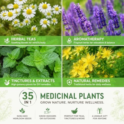 35 Herb Seeds Variety Pack, 16,400+ Non-GMO Heirloom Seeds for Planting - Image 3