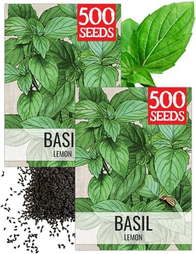 Seed Needs Lemon Basil Seeds to Plant an Herb Garden - 2 Packs by SeedNeeds