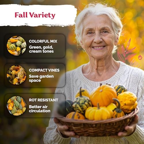50 Small Gourd Heirloom Vegetable Seeds Mix for Planting, Cucurbita Pepo - Image 4