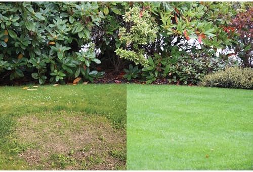 Canada Green Grass Lawn Seed - 4 Pound Bag Grows Healthy Rich Green Fast Growing Grass Lawn Seed Plants Yard Garden - Image 4
