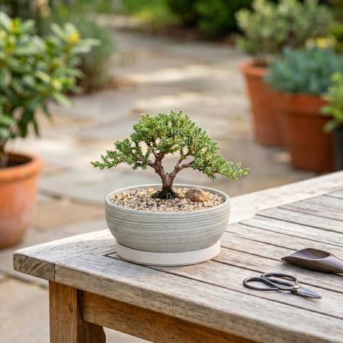 6 Inch Ceramic Succulent Planters with Saucer, Brushed Grey - Image 4