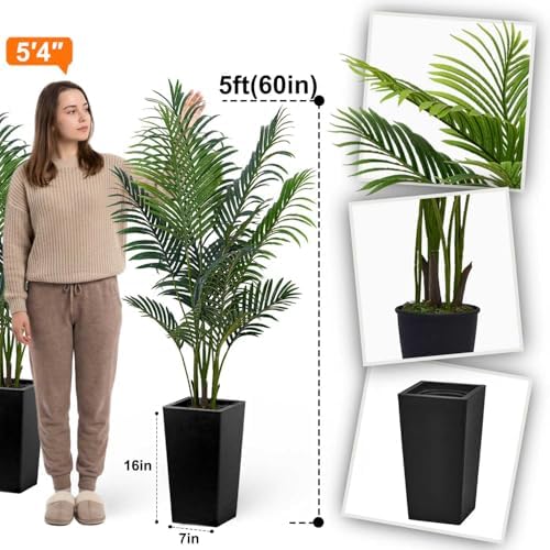 Aveyas 5ft Artificial Palm Tree for Home Decor,5 Feet Faux Plant Fake Silk Tropical Kentia Areca Trees for Indoor Outdoor House Living Room Office Porch Garden(5 ft Tall with Raised Pot)-Set of 2 Pack - Image 2